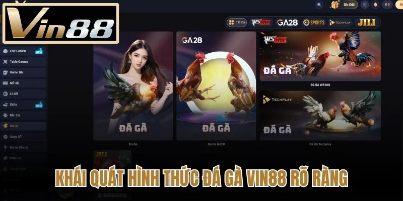 Khái quát hình thức Đá Gà Vin88 rõ ràng