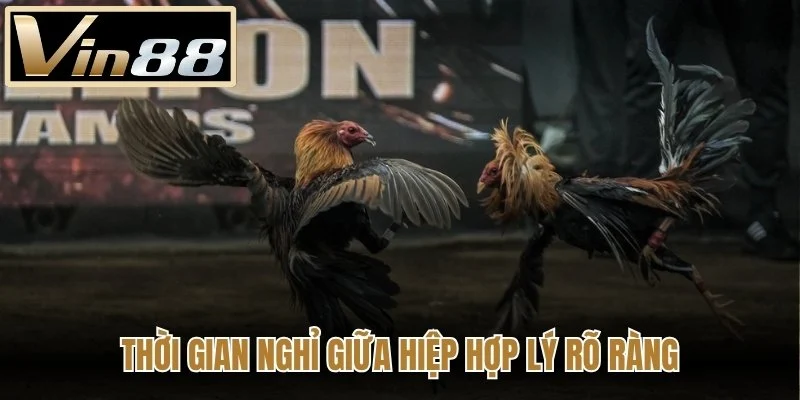 Thời gian nghỉ giữa hiệp hợp lý rõ ràng